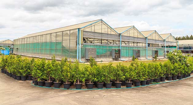 Commercial-Greenhouses-HP-629X343