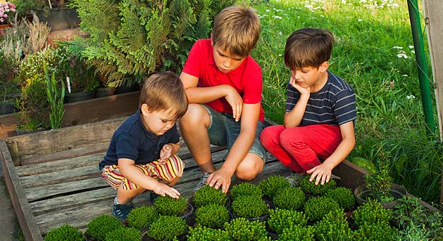 Educational-Greenhouses-HP-629X343