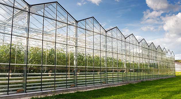 Medical-Greenhouses-HP-629X343