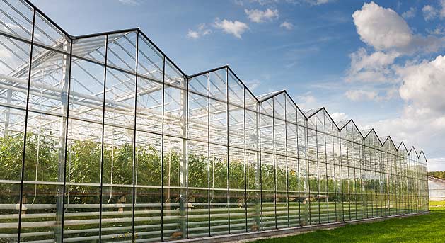 Ready-to-Get-Started-Now-That-Youve-Bought-Your-Greenhouse